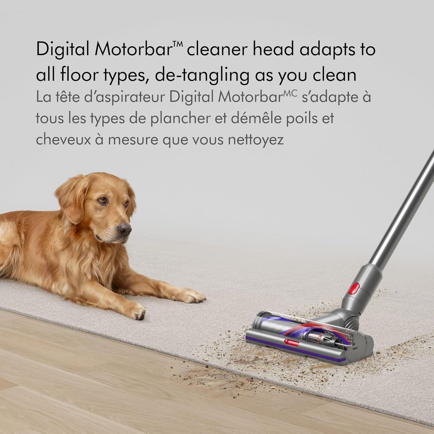 Dyson V15 Detect Cordless Vacuum Cleaner, Yellow/Nickel