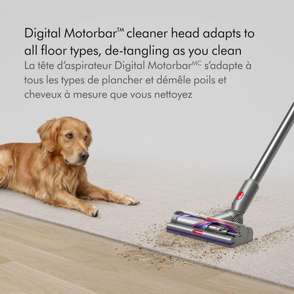 مكنسة كهربائية لاسلكية Dyson V15 Detect، باللون الأصفر/النيكل